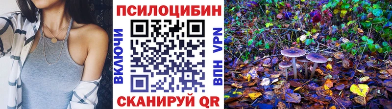 Купить где  Копейск  Псилоцибиновые грибы прущие грибы 